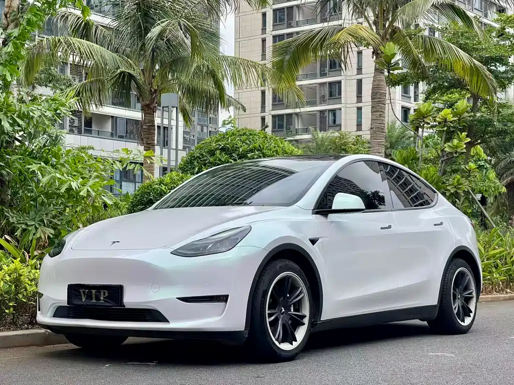 Model Y 2021 standard range rear-wheel drive version купить на сайте DeffCars