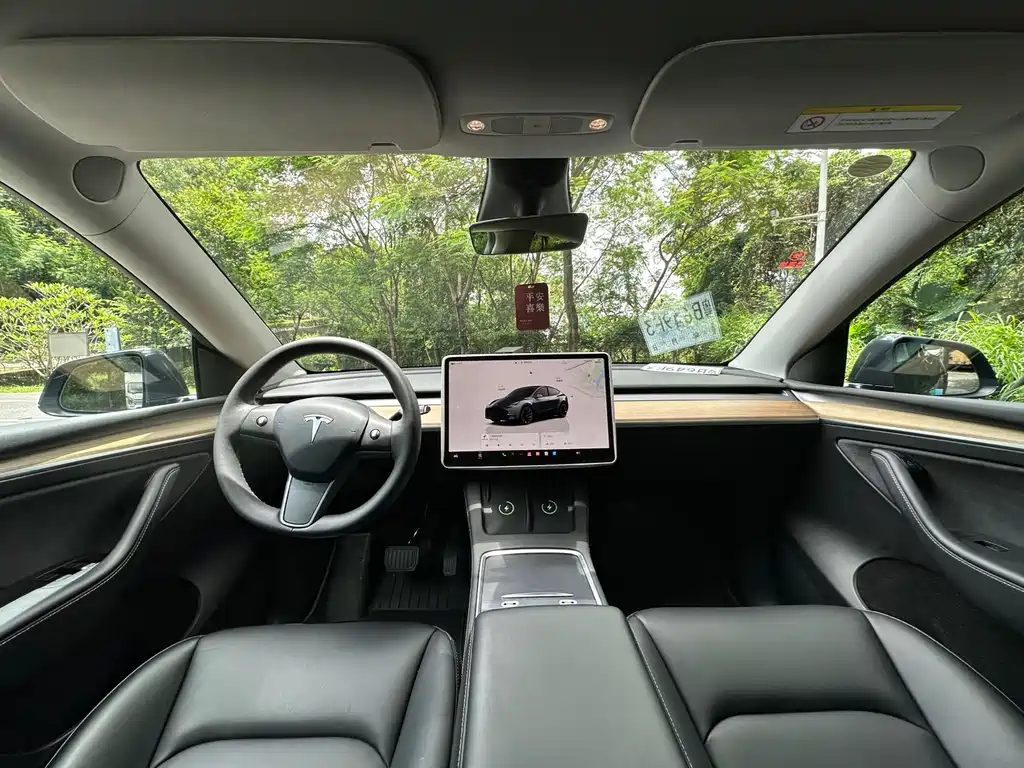 Model Y 2022 Modified Long Range All-Wheel Drive Edition купить на сайте DeffCars