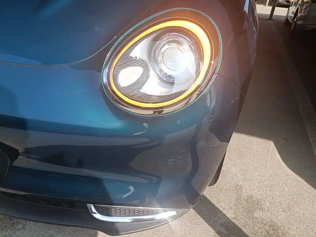 Euler Good Cat 2023 model 401km standard battery life luxury model lithium iron phosphate купить на сайте DeffCars
