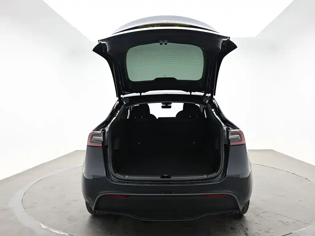 Model Y 2024 rear-wheel drive version купить на сайте DeffCars