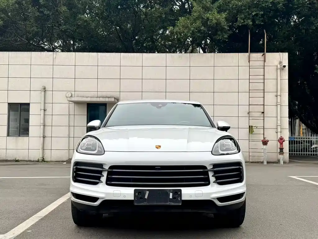 Cayenne 2022 Cayenne 3.0T Platinum Edition купить на сайте DeffCars