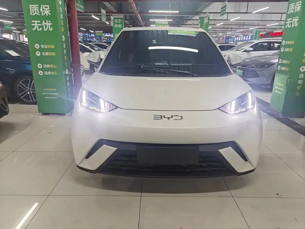 Seagull 2025 model 305km free version купить на сайте DeffCars