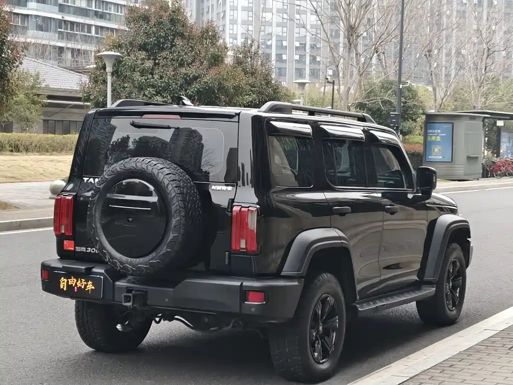 Tank 300 2023 Off-Road Version 2.0T Conqueror купить на сайте DeffCars