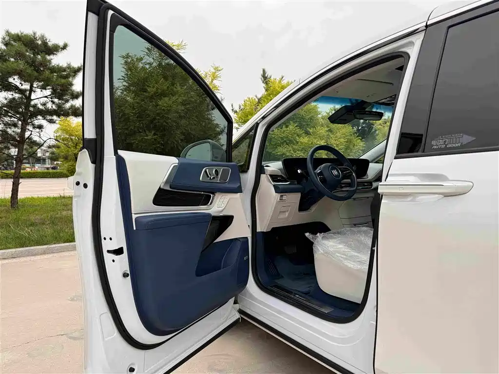 Century 2023 2.0T Six-seater Yuanshi Edition купить на сайте DeffCars
