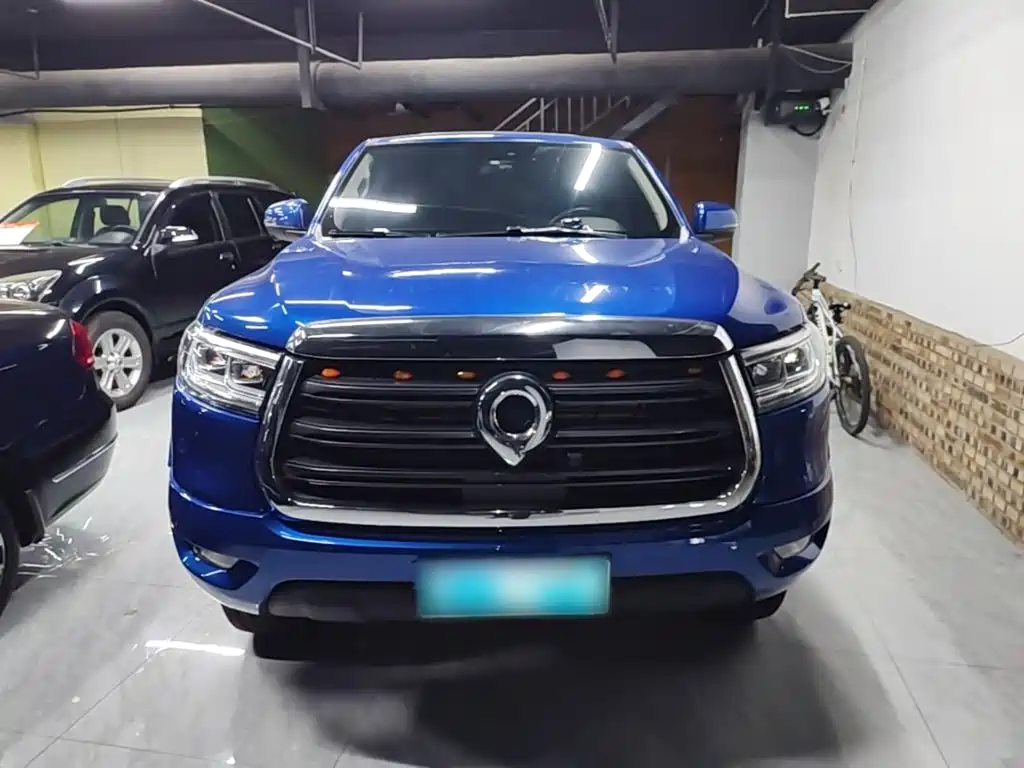 Cannon 2019 2.0T automatic gasoline four-wheel drive comfort version GW4C20B купить на сайте DeffCars