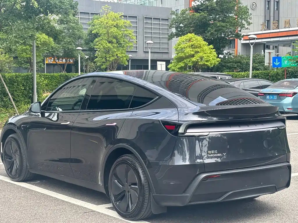 Model Y 2025 rear-wheel drive version купить на сайте DeffCars