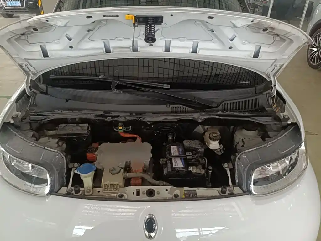 Euler White Cat 2020 360km luxury model купить на сайте DeffCars