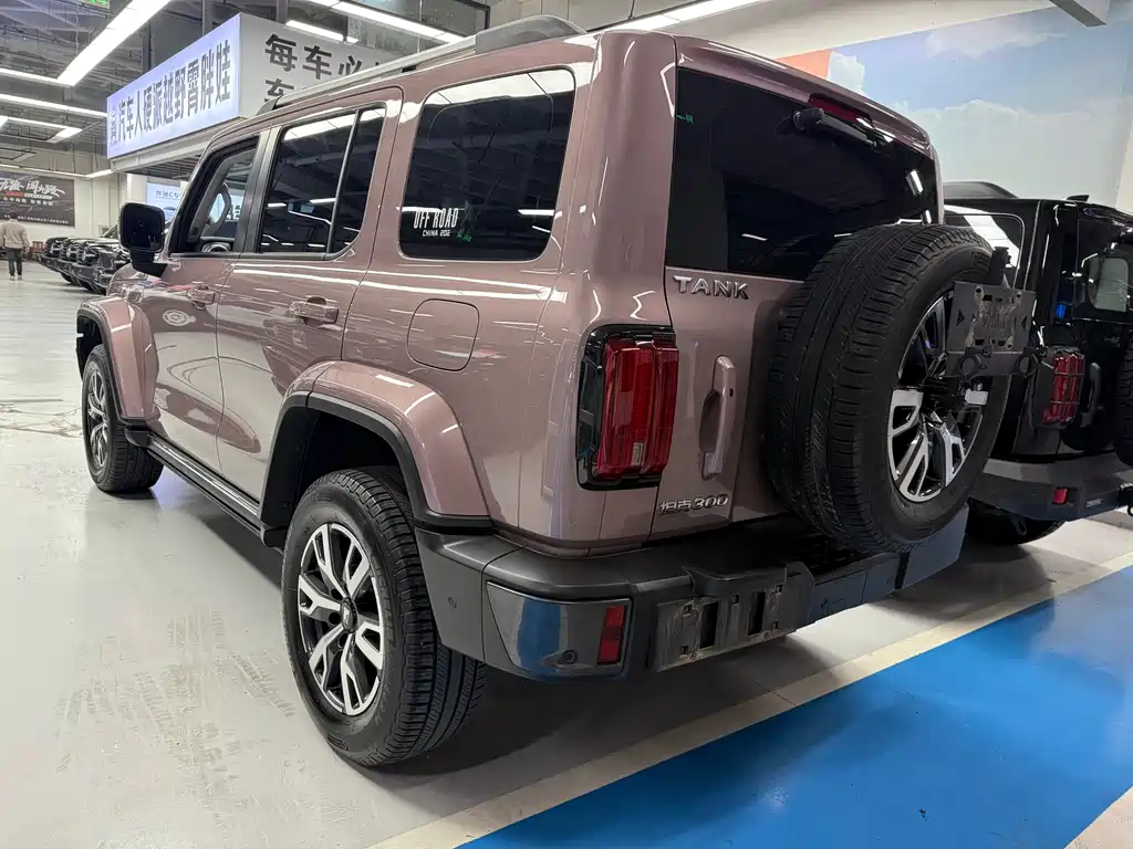 Tank 300 2023 City Edition 2.0T Very Stylish купить на сайте DeffCars