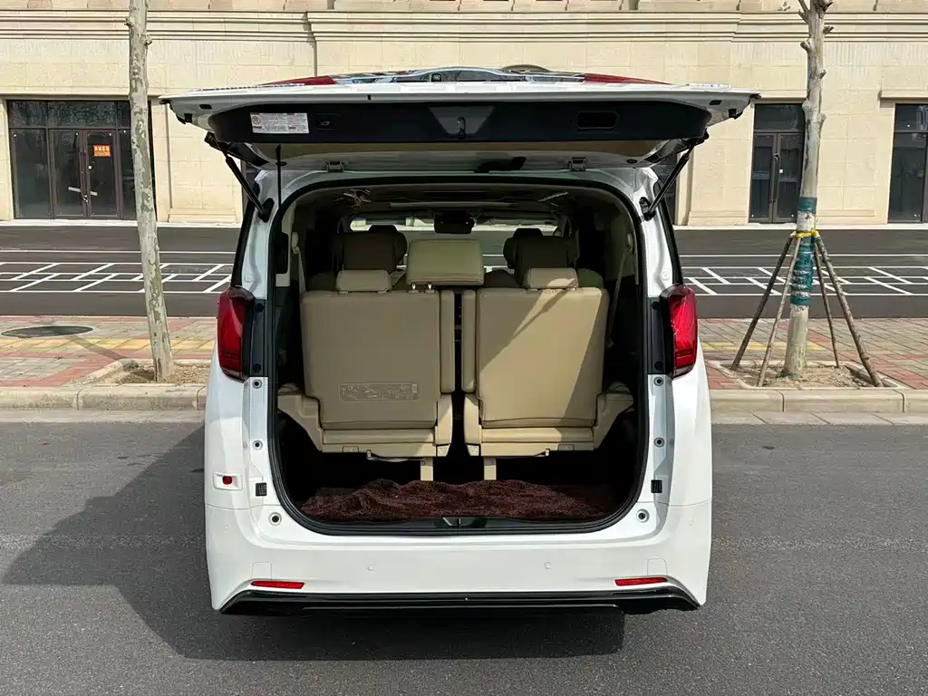 Alfa 2019 Shuangqing 2.5L Premium Edition купить на сайте DeffCars