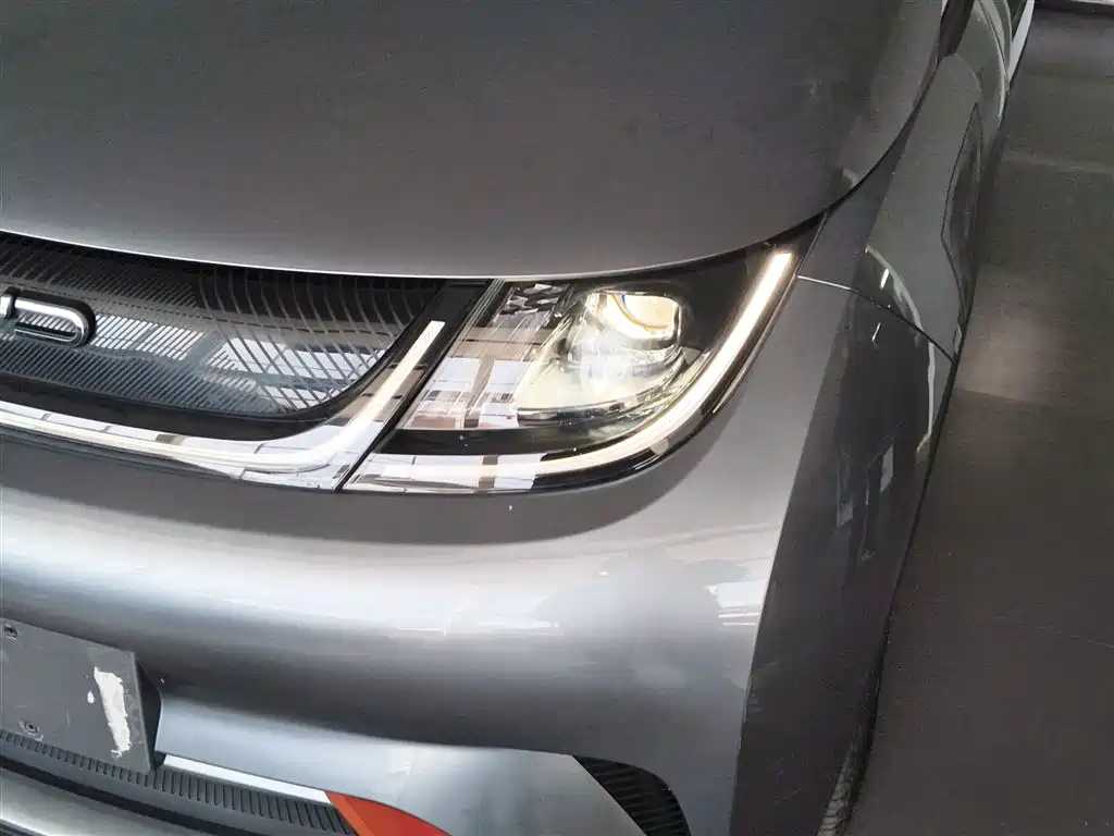 Dolphin 2021 405km Free Edition купить на сайте DeffCars