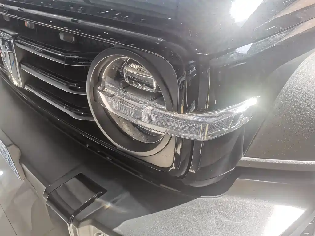 Tank 300 2021 Off-Road Version 2.0T Conqueror купить на сайте DeffCars