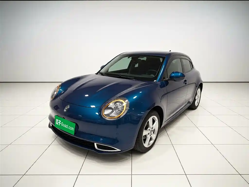 Euler Good Cat 2023 model 401km standard battery life luxury model lithium iron phosphate купить на сайте DeffCars