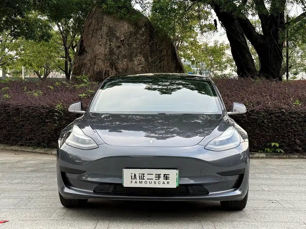 Model 3 2019 standard range rear drive upgraded version купить на сайте DeffCars