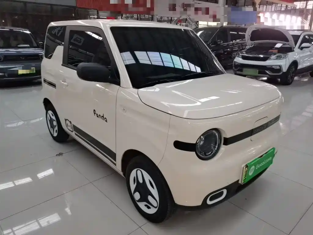 Panda 2025 Panda mini 210km Yuanqi Bear купить на сайте DeffCars