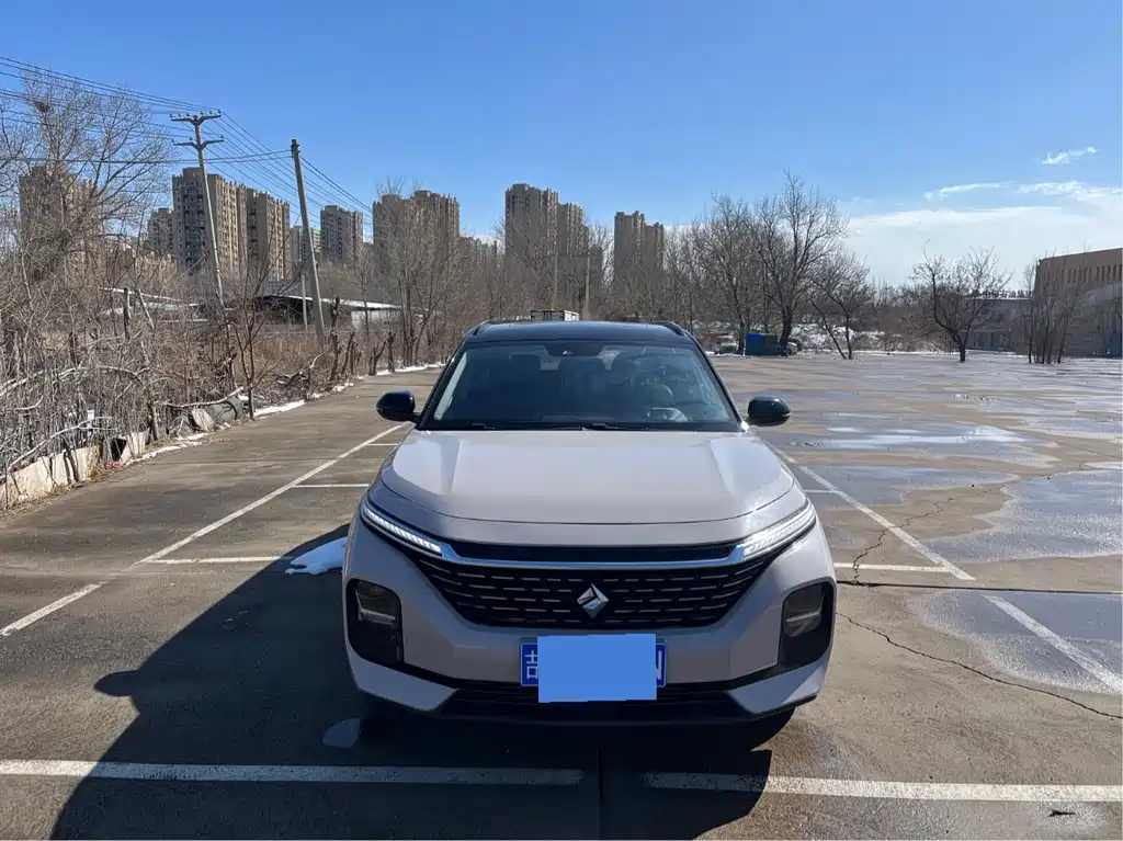 Baojun Valli 2021 1.5T Yili Ranch CVT luxury model купить на сайте DeffCars