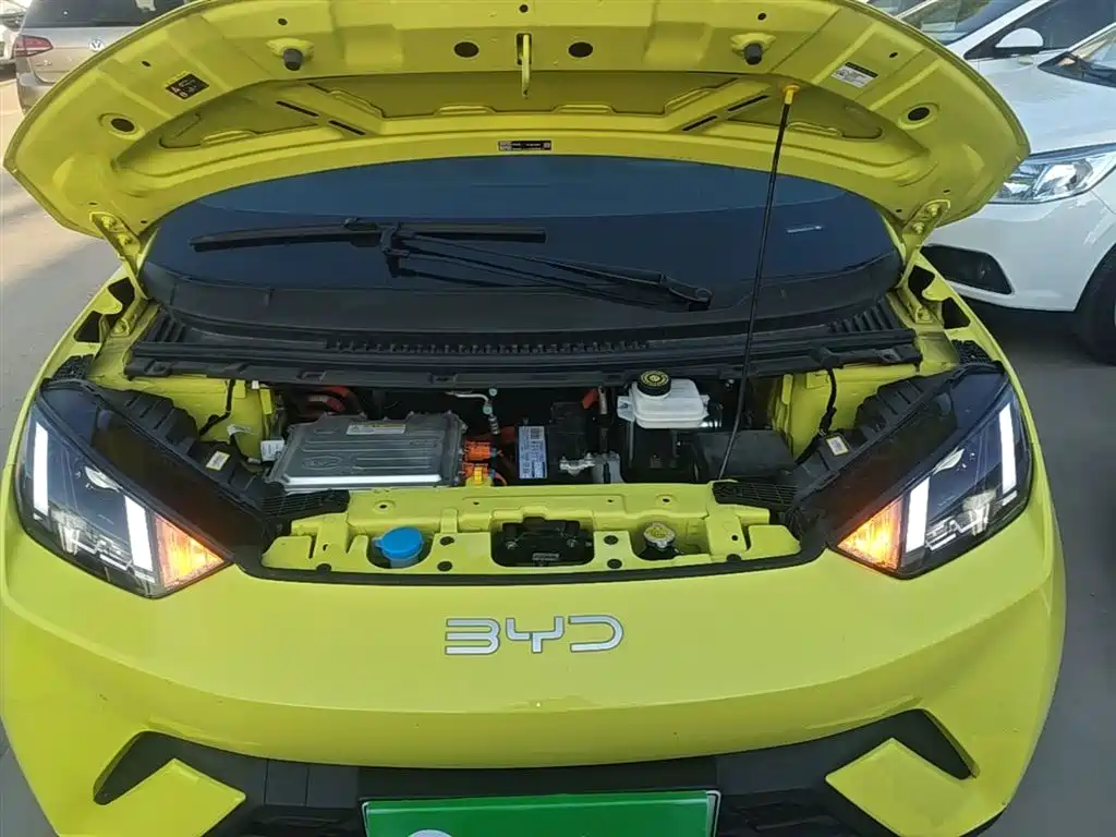 Seagull 2024 Honor Edition 305km Free Edition купить на сайте DeffCars