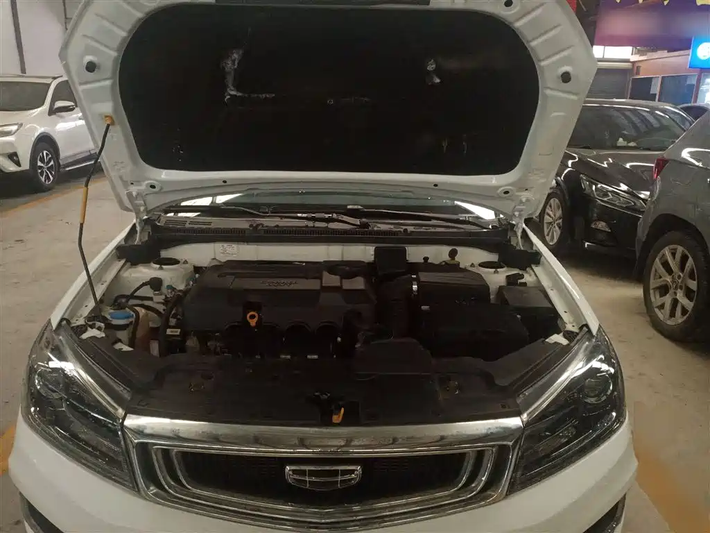 Emgrand 2019 Leading Edition 1.5L CVT Luxury Type National VI купить на сайте DeffCars