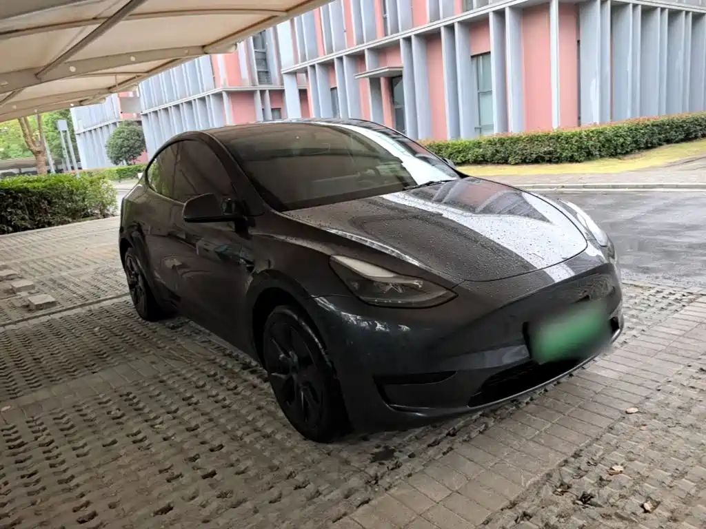 Model Y 2024 rear-wheel drive version купить на сайте DeffCars