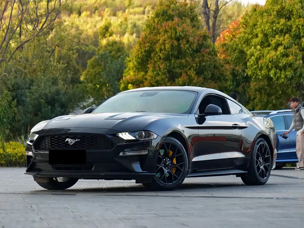 Mustang 2020 2.3L EcoBoost Performance Advanced Edition купить на сайте DeffCars