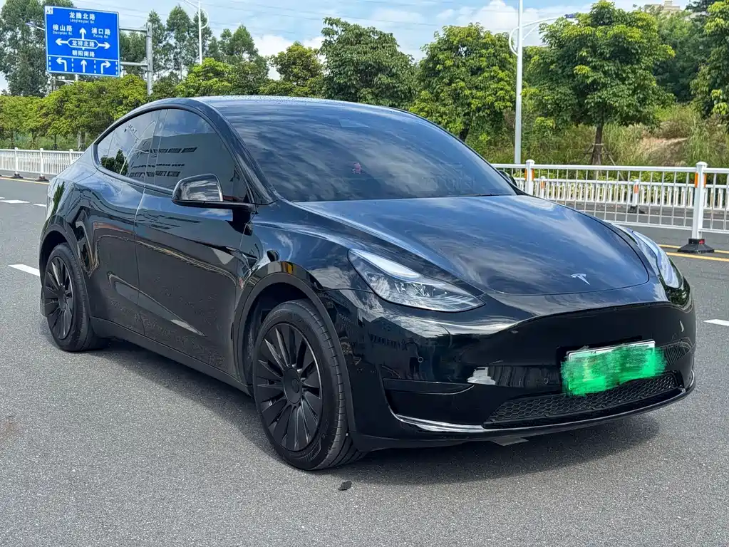 Model Y 2024 rear-wheel drive version купить на сайте DeffCars