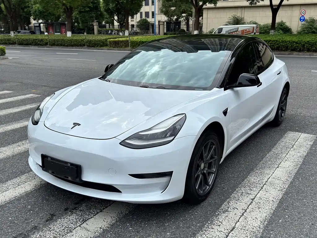 Model 3 imported 2019 standard range rear drive upgraded version купить на сайте DeffCars