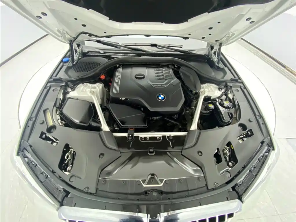 BMW 5 Series 2021 530Li Leading M Sports Package купить на сайте DeffCars