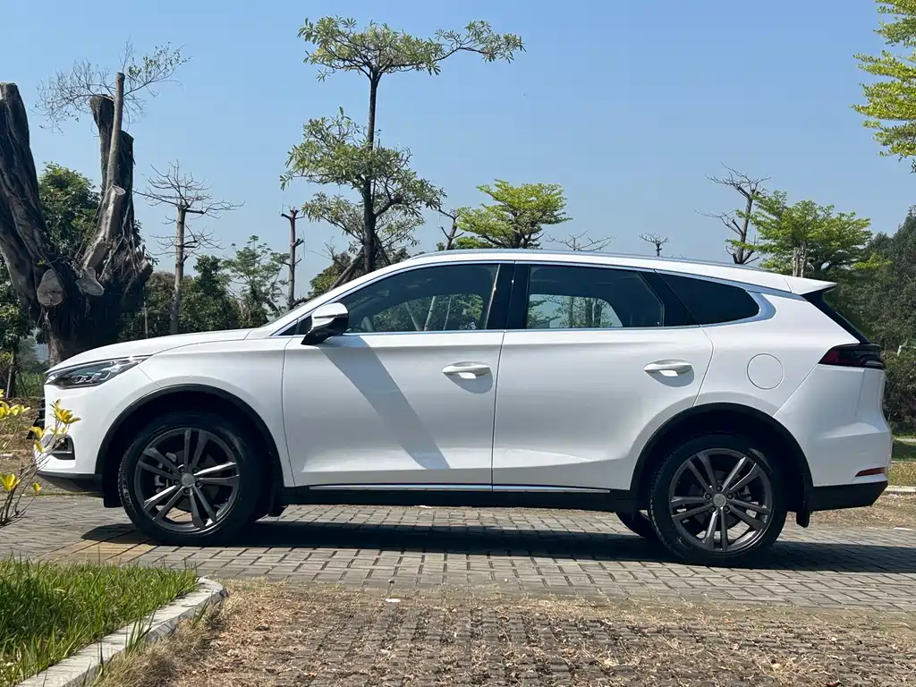Tang 2021 2.0T automatic flagship model купить на сайте DeffCars