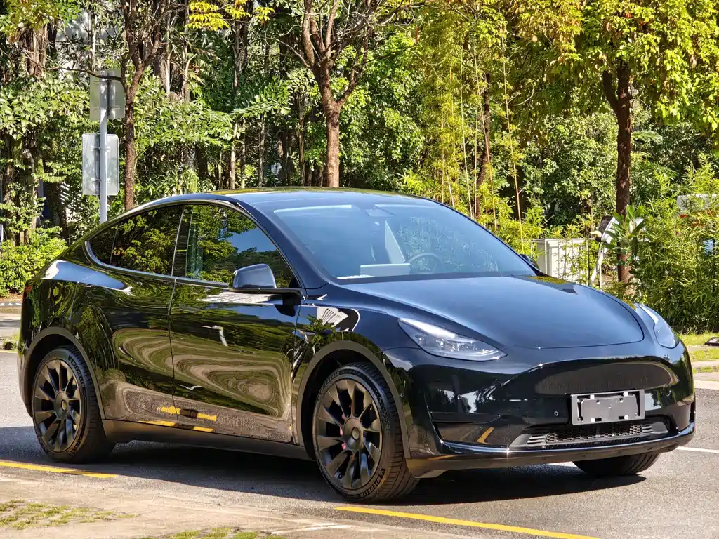 Model Y 2022 rear-wheel drive version купить на сайте DeffCars