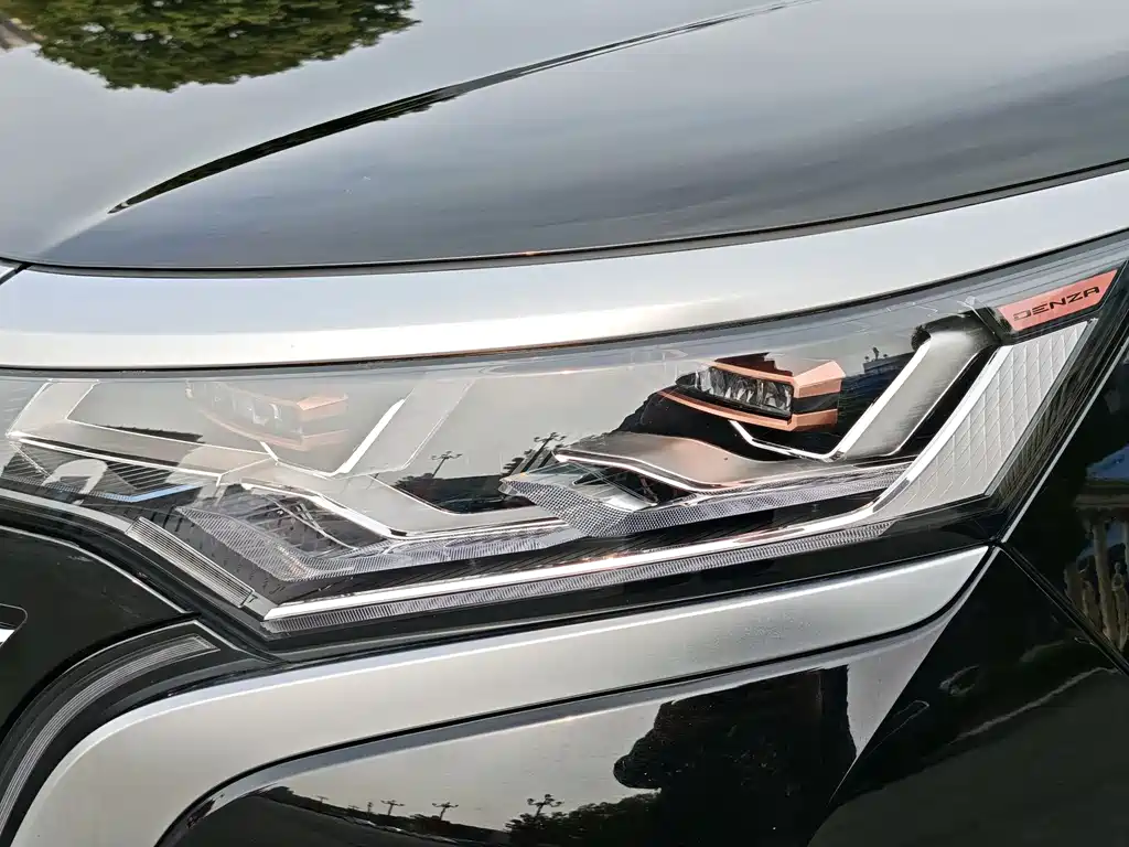 Denza D9 2024 DM-i 980 four-wheel drive flagship model купить на сайте DeffCars