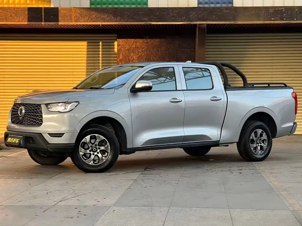 Cannon 2021 2.0T commercial version automatic diesel two-wheel drive elite standard box GW4D20M купить на сайте DeffCars