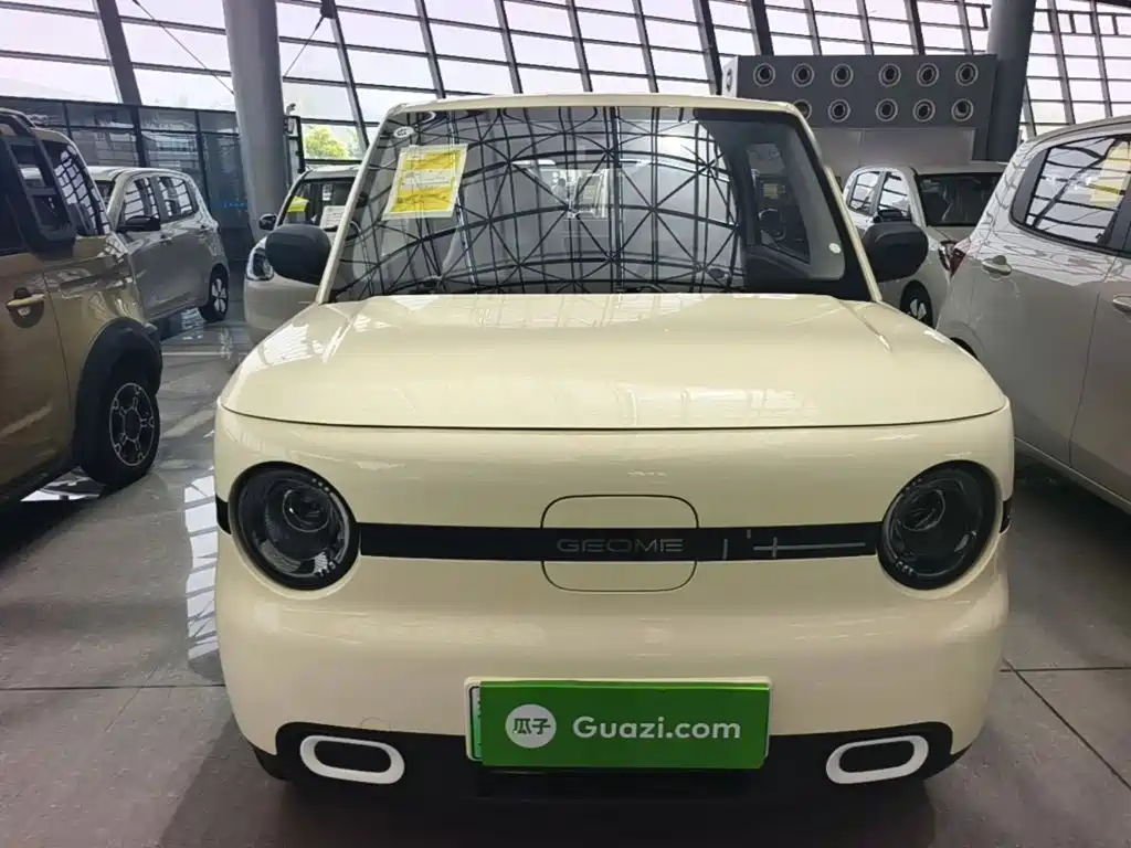 Panda 2025 Panda mini 210km Yuanqi Bear купить на сайте DeffCars