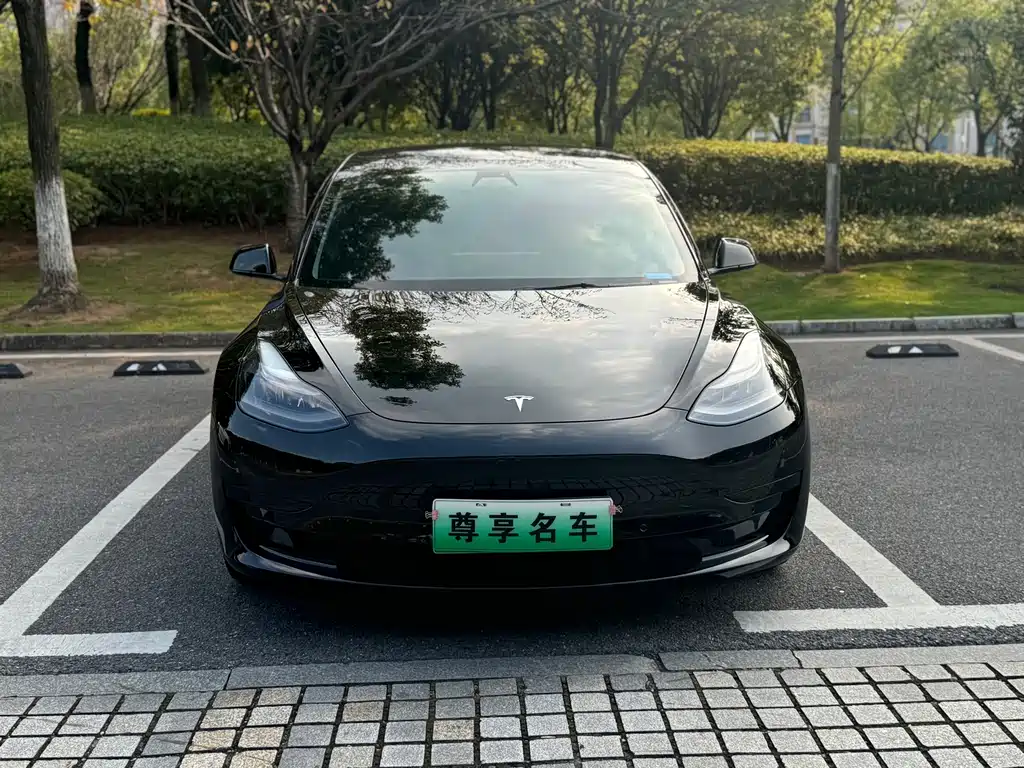 Model 3 2021 standard range rear drive upgraded version 3D6 купить на сайте DeffCars