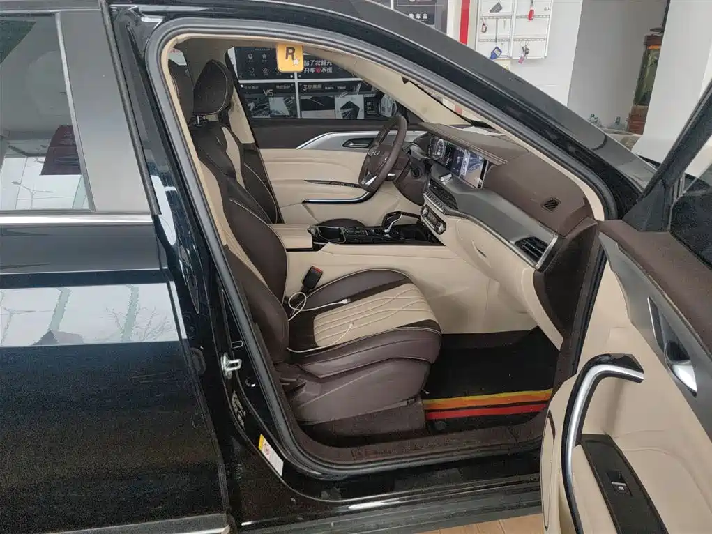 Pentium T77 2023 1.5T automatic luxury model купить на сайте DeffCars