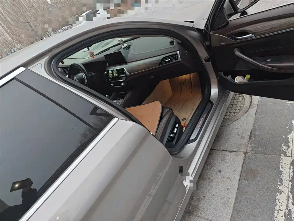 BMW 5 Series 2020 530Li Exclusive Luxury Package купить на сайте DeffCars