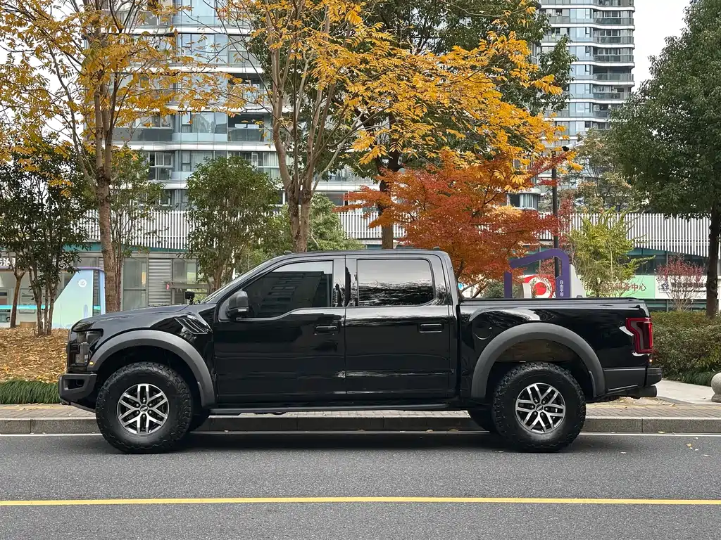 Ford F-150 Raptor 2018 3.5T Raptor Performance Enhanced Edition купить на сайте DeffCars
