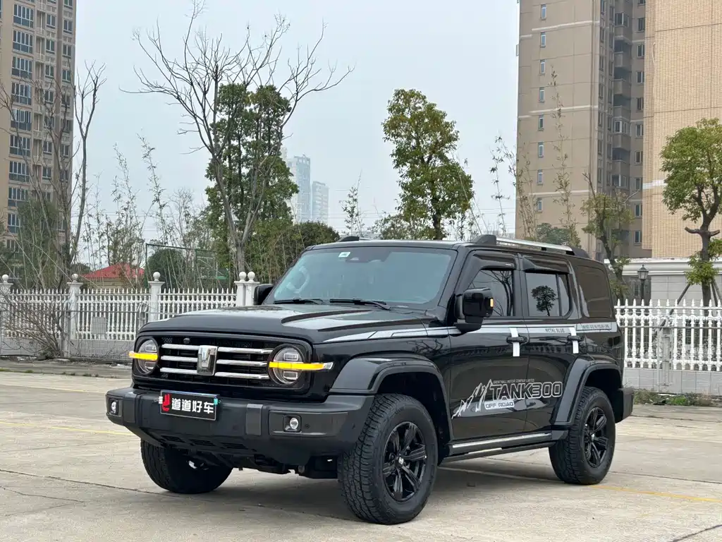 Tank 300 2023 City Edition 2.0T Very Stylish купить на сайте DeffCars