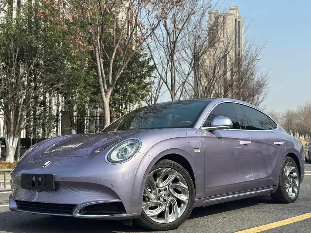 Euler Lightning Cat 2022 555km Premium Edition купить на сайте DeffCars