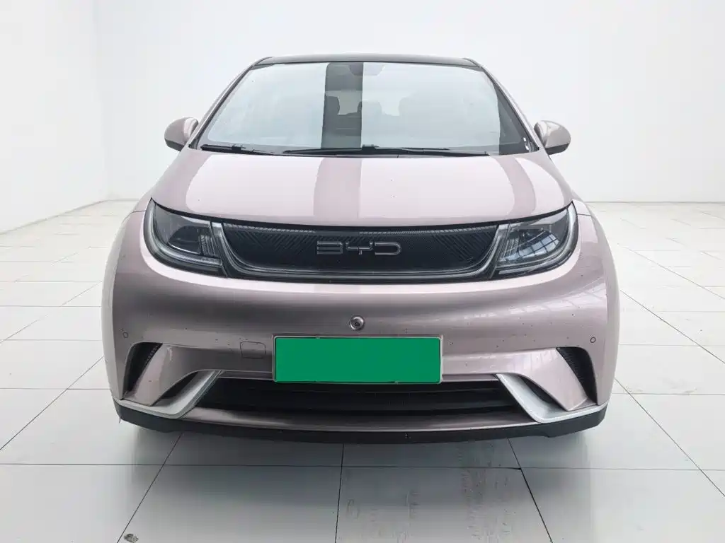 Dolphin 2023 420km Free Edition купить на сайте DeffCars