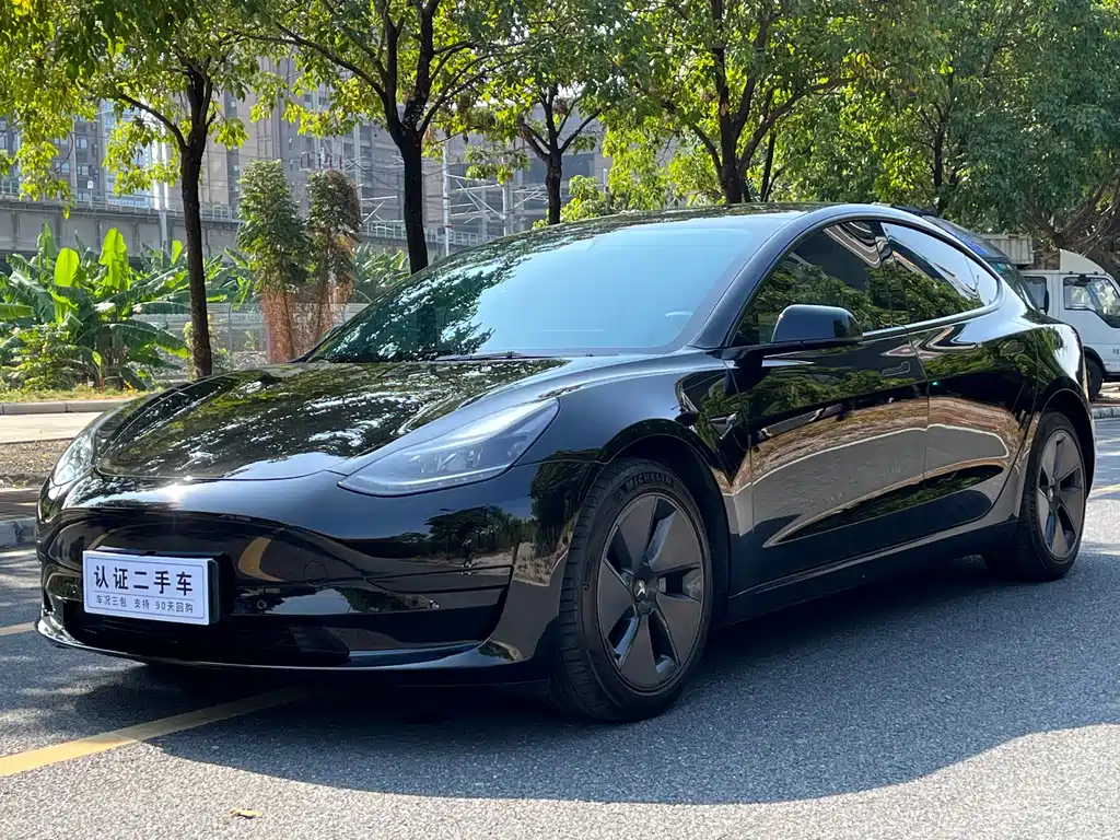 Model 3 2022 rear-wheel drive version купить на сайте DeffCars