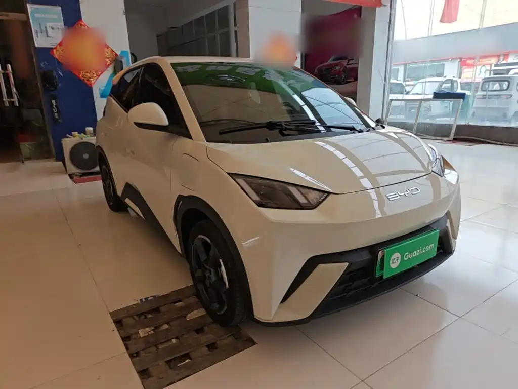 Seagull 2023 Free Edition купить на сайте DeffCars