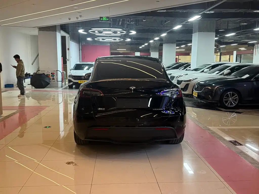 Model Y 2024 rear-wheel drive version купить на сайте DeffCars
