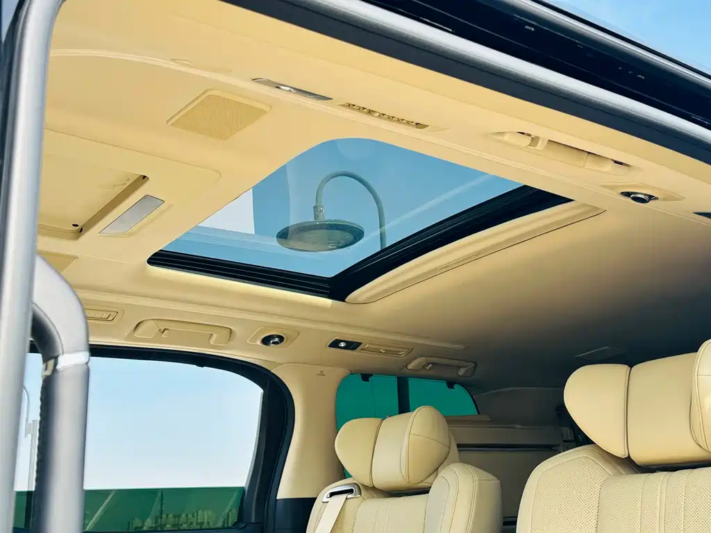 Wilfa 2020 Shuangqing 2.5L Black Gold Limited Edition купить на сайте DeffCars