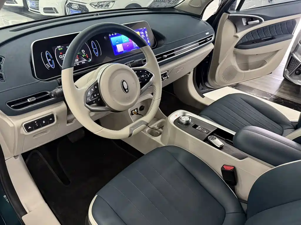 Euler Good Cat 2021 Model 400km Standard Range Athena Edition Lithium Iron Phosphate купить на сайте DeffCars