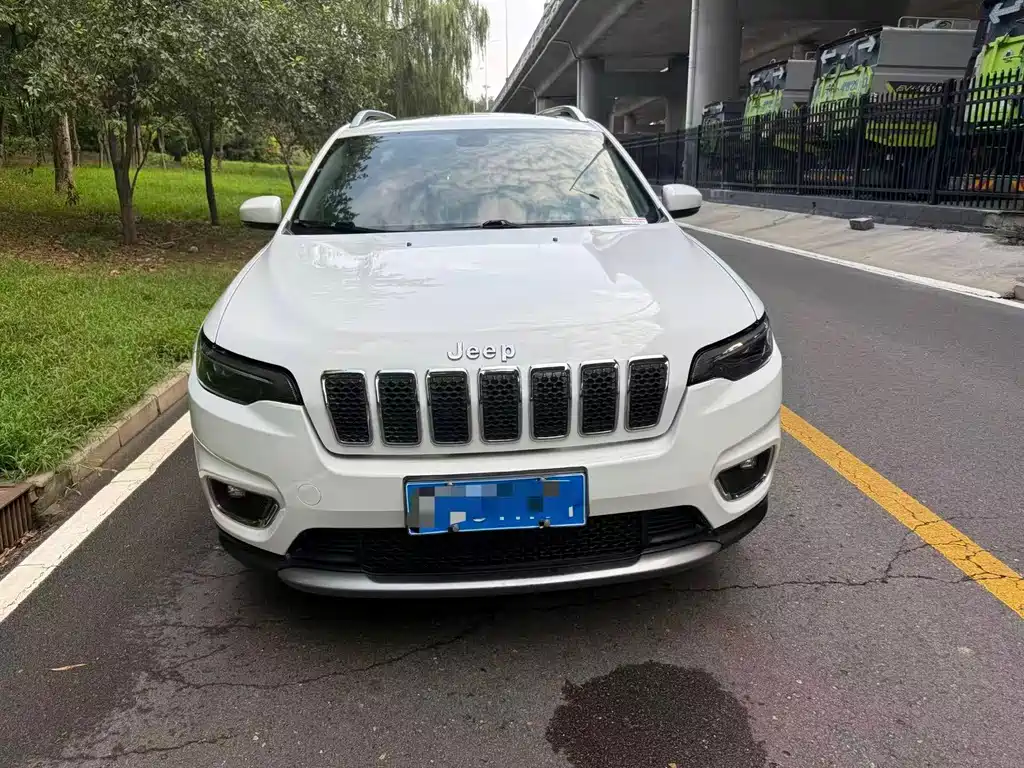 Cherokee (Китай) 2020款 2.0T 两驱领先版 купить на сайте DeffCars