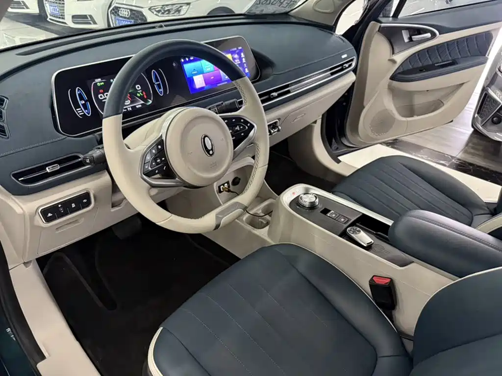 Euler Good Cat 2021 Model 400km Standard Range Athena Edition Lithium Iron Phosphate купить на сайте DeffCars