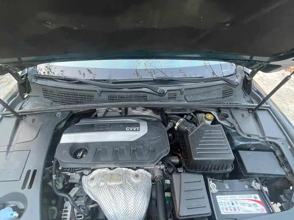 Borui 2017 2.4L comfort model купить на сайте DeffCars