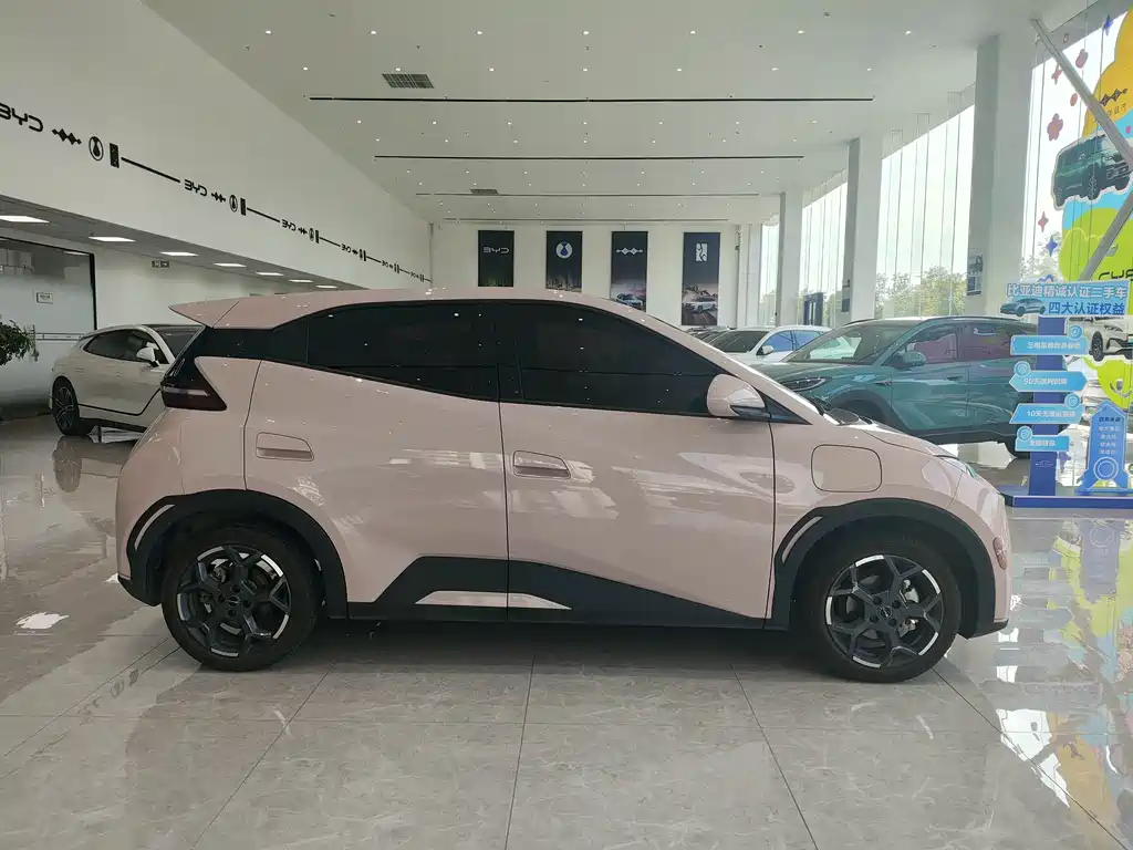 Seagull 2025 model 305km free version купить на сайте DeffCars