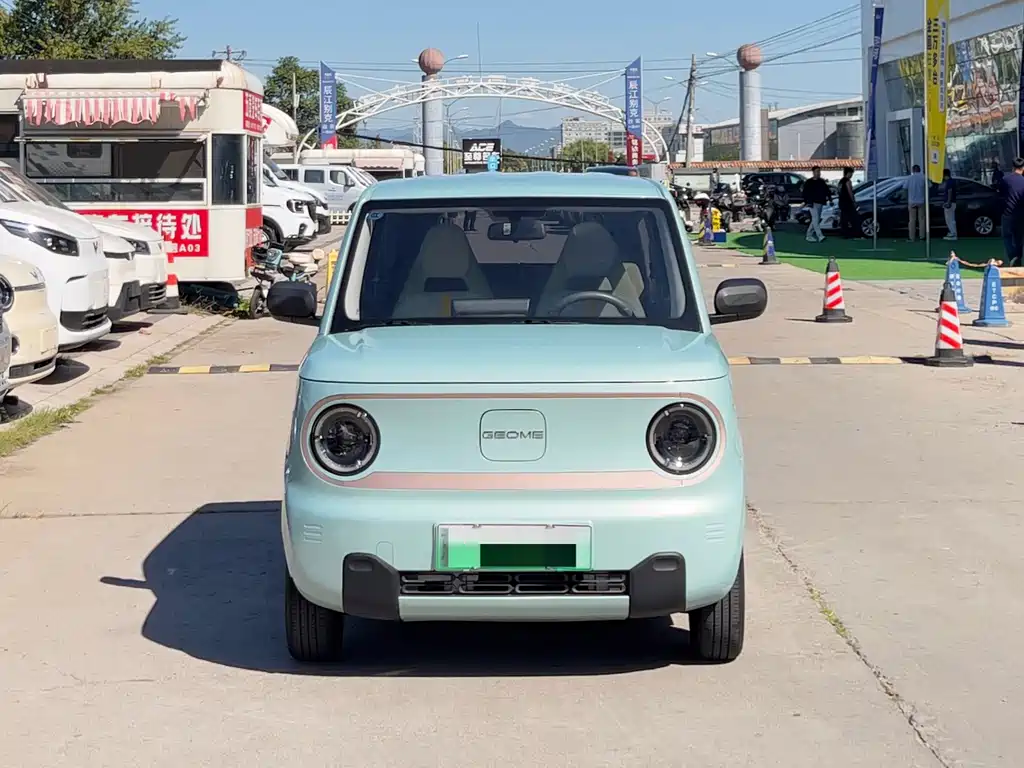 Panda (Geome) 2024 mini 200km Endurance Bear купить на сайте DeffCars