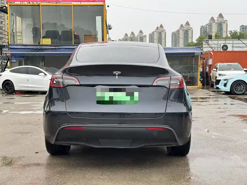 Model Y 2024 rear-wheel drive version купить на сайте DeffCars