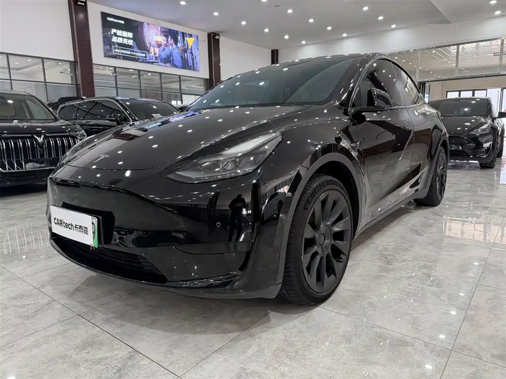 Model Y 2021 standard range rear-wheel drive version купить на сайте DeffCars
